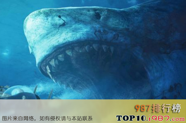 十大世界凶猛古生物之巨齿鲨
