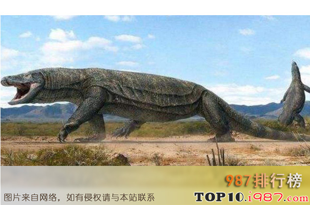 十大世界凶猛古生物之古巨蜥