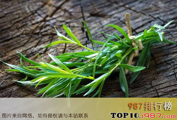 十大世界最香的植物之龙蒿叶