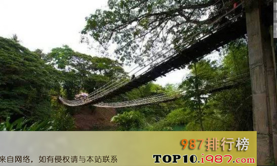 十大世界最恐怖的桥之tigbao悬索桥