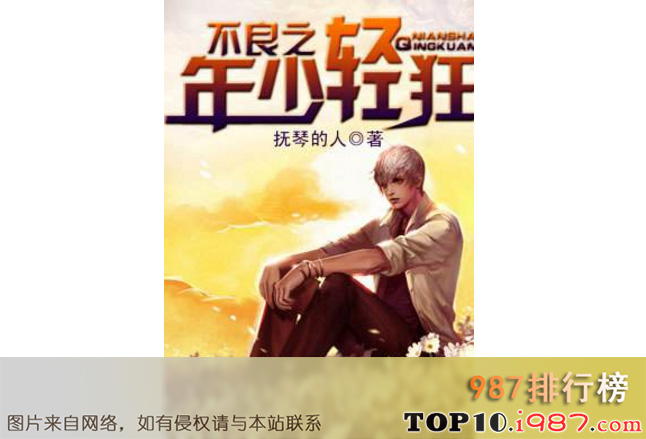 十大热血小说之不良之年少轻狂