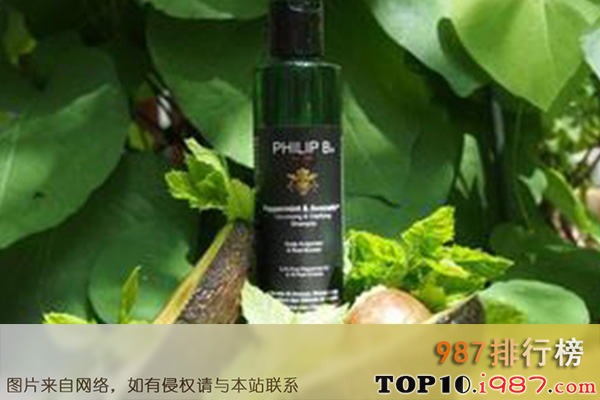 十大留香型洗发露之philip b薄荷酪梨洗发露