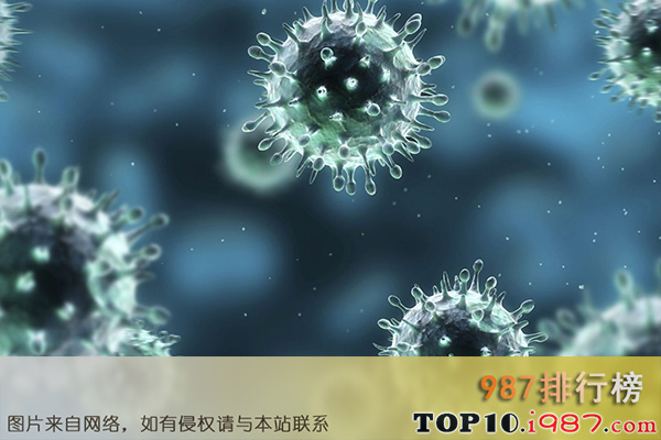 十大病毒之甲型h1n1流感病毒