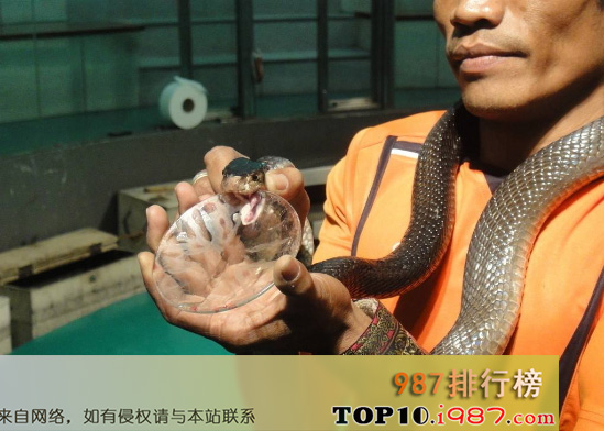 十大世界最贵的液体之眼镜王蛇蛇毒