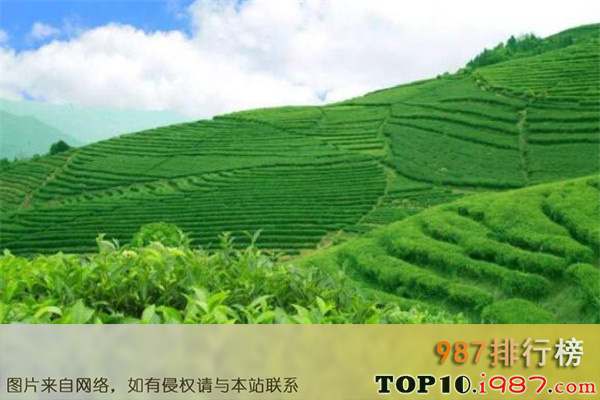 世界饮茶十大国家之中国