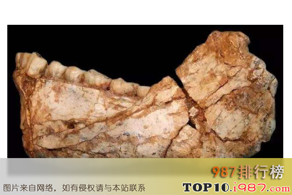 十大世界惊人考古发现之智人骨骼