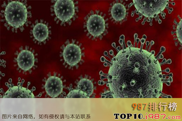 十大世界病毒之流感病毒