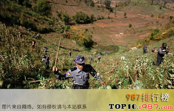 十大贩毒最严重的国家之缅甸