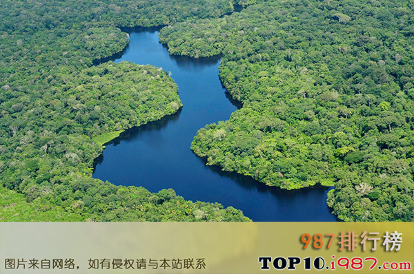 十大自然奇观之亚马逊雨林，南美洲