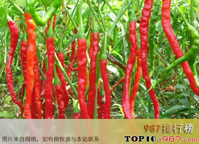 十大世界上最辣的辣椒之陕西线椒
