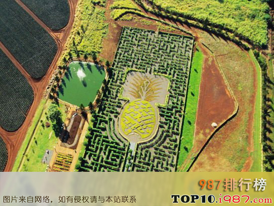 十大最梦幻花园迷宫之美国夏威夷都乐(dole)菠萝种植园