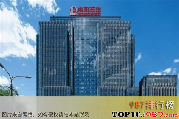 十大最大的公司之中国石油化工集团公司