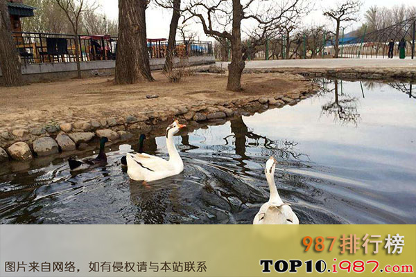 十大北京周边最值得一去庄园之北京鹅和鸭山庄