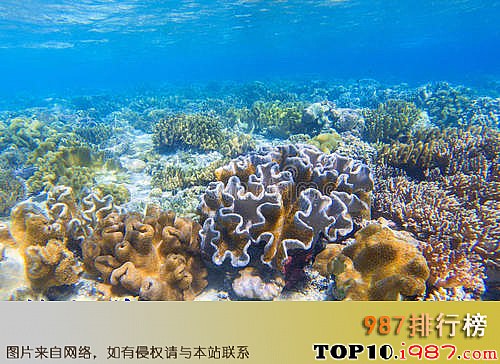 十大十大海洋之珊瑚海