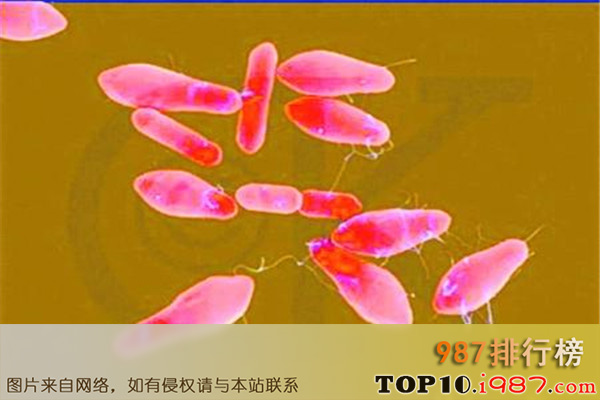 十大最可怕细菌之肉毒杆菌