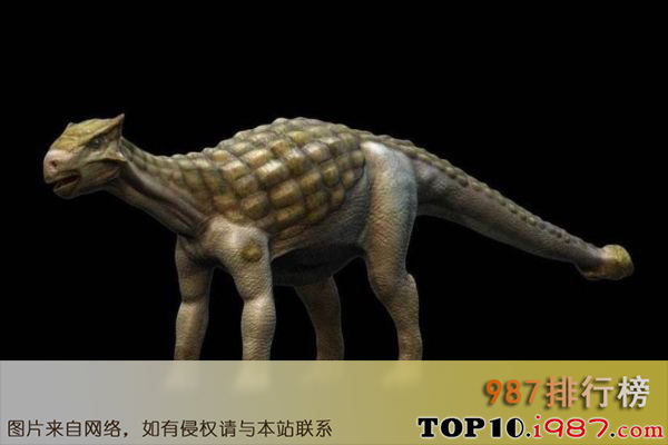 十大世界最著名恐龙之背甲龙