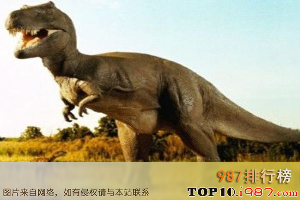 十大世界最著名恐龙之雷克斯霸王龙