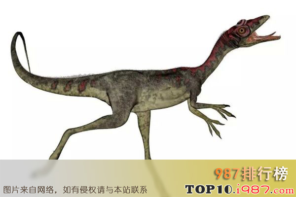 十大世界最著名恐龙之秀颌龙