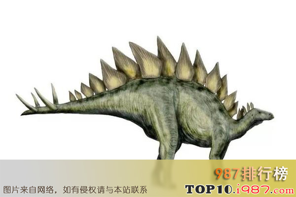 十大世界最著名恐龙之剑龙