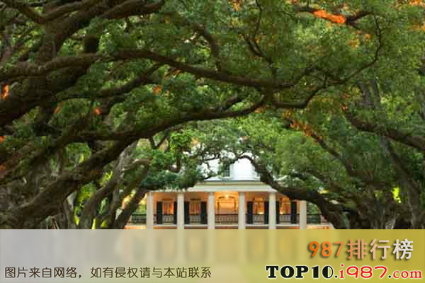 十大美国私人庄园之橡树港庄园(oak alley plantation)