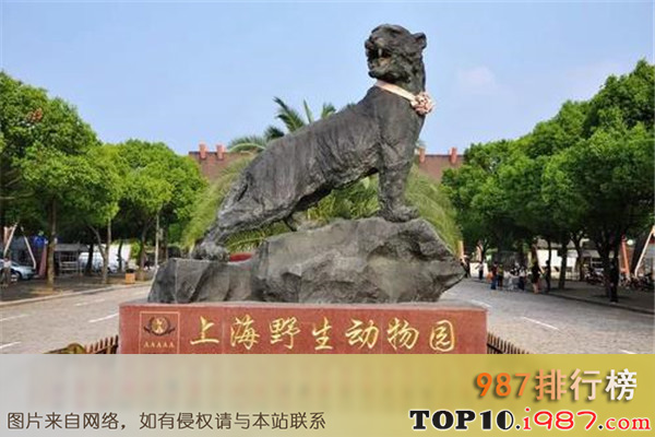 十大上海动植物园之上海野生动物园