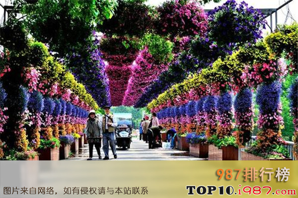 十大上海动植物园之上海植物园