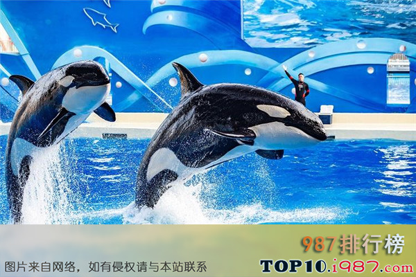 十大上海动植物园之海昌海洋公园