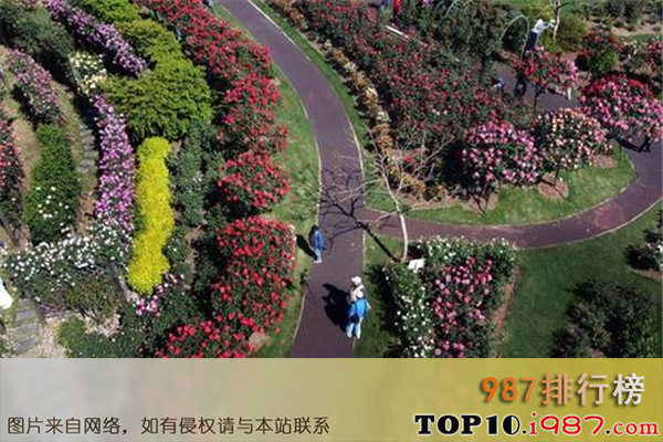 十大上海动植物园之上海辰山植物园
