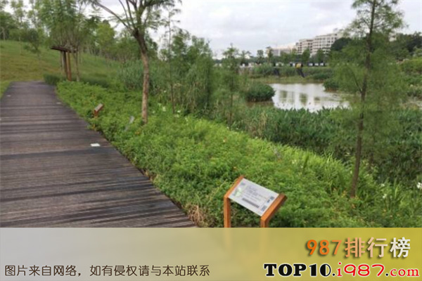 十大广州公园之大观湿地公园