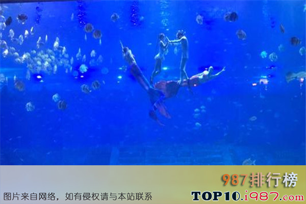 十大重庆热门动植物园之重庆汉海海洋公园