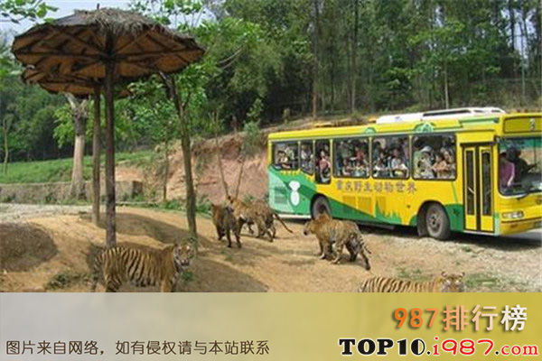 十大重庆热门动植物园之重庆野生动物世界