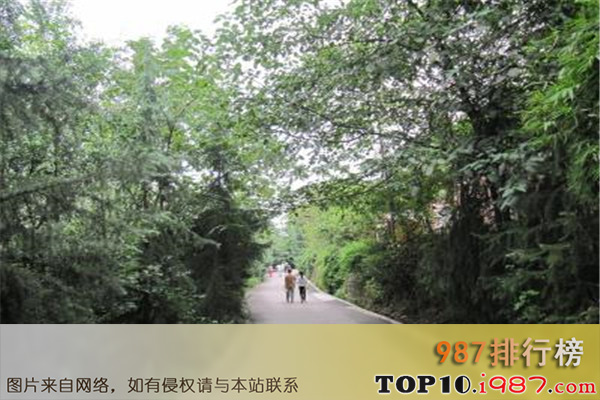 十大重庆热门动植物园之重庆照母山植物园