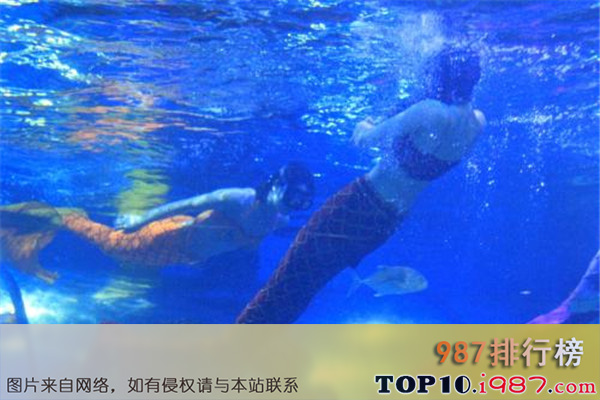 十大重庆热门动植物园之重庆欢乐海底世界
