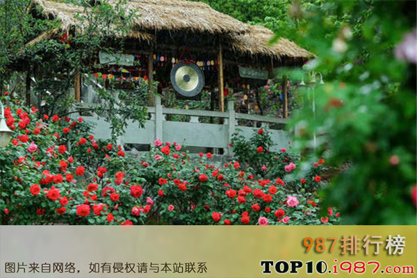 十大重庆热门动植物园之盛山植物园