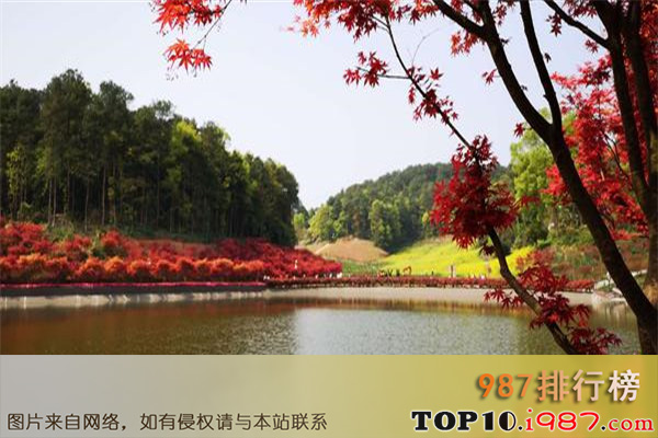 十大重庆热门动植物园之南湖多彩植物园