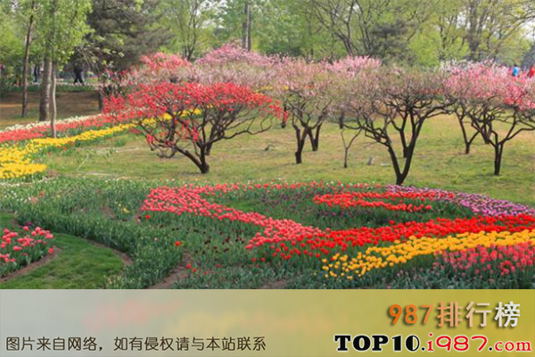 十大北京动植物园之北京植物园南区