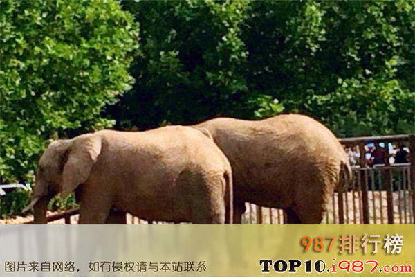 十大北京动植物园之八达岭野生动物世界