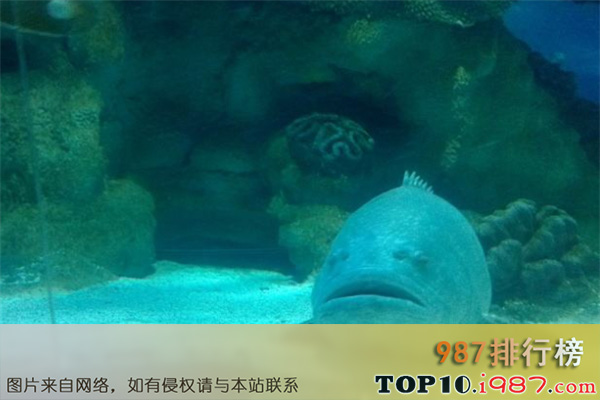 十大北京动植物园之亚瑟王国海洋乐园