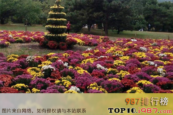 十大北京动植物园之呀路古热带植物园