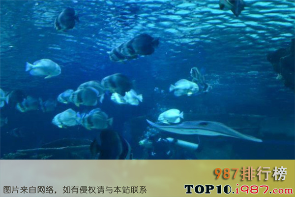十大北京动植物园之北京海洋馆