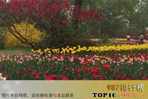 十大北京动植物园之世界花卉大观园