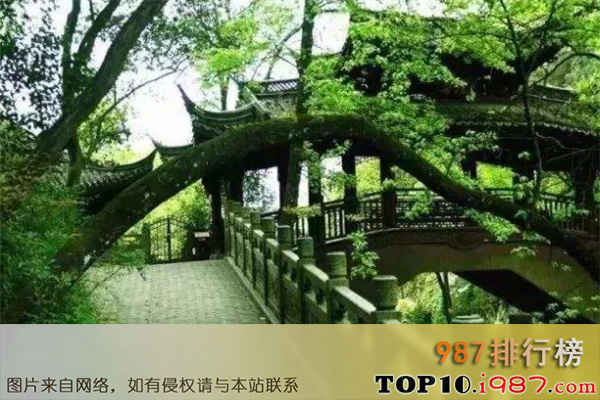 十大广州热门景点之白云山原始森林公园