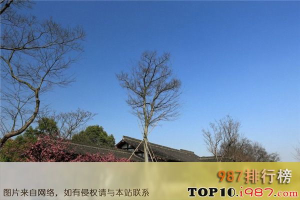 十大杭州风景名胜之西溪国家湿地公园东区