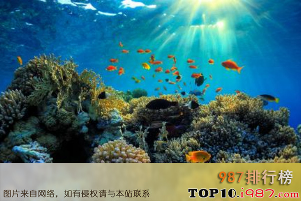 十大世界水上奇迹之澳大利亚大堡礁