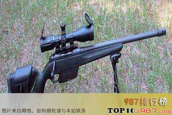 十大世界著名狙击枪之瑞士ssg3000狙击步枪