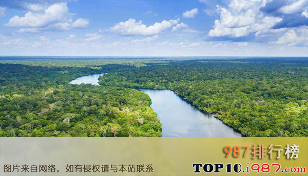 十大世界奇观之亚马逊雨林