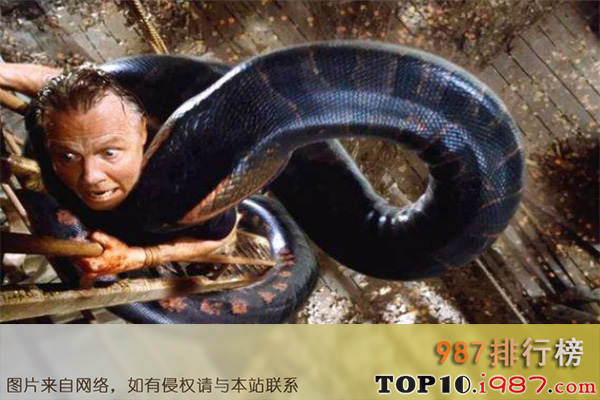十大蟒蛇电影之灵蛇舞