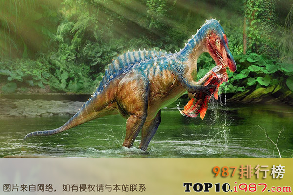 十大世界最危险恐龙之伤齿龙