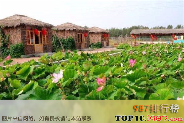 十大荆州本地玩乐之相约洪湖赤卫队生态农庄