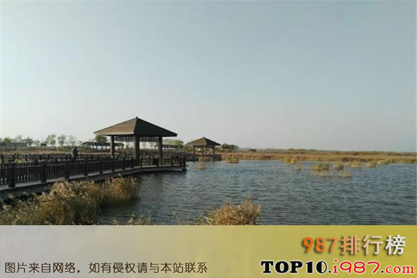 十大沧州风景名胜之南大港湿地自然保护区